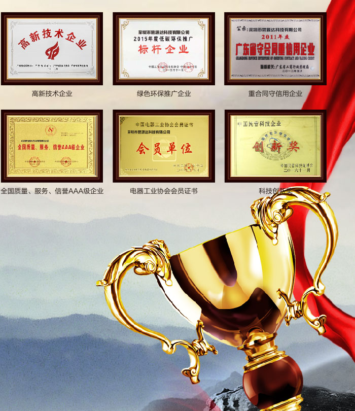 碧源達資質(zhì)榮譽證書2 碧源達資質(zhì)榮譽證書2